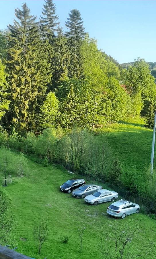 Pod Modrzewiem Mieszkania Wakacyjne Duszniki Zdrój Kültér fotó